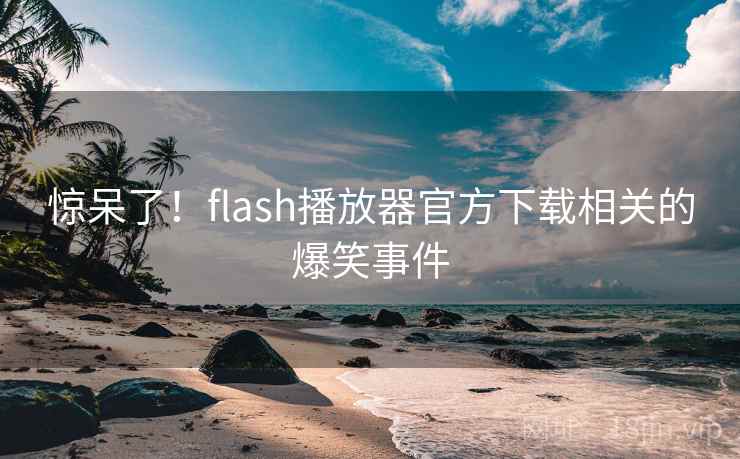 惊呆了!flash播放器官方下载相关的爆笑事件 惊呆了!flash播放器官方下载相关的爆笑事件
