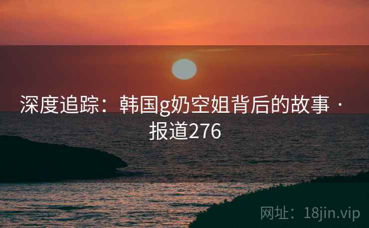 深度追踪：韩国g奶空姐背后的故事 · 报道276