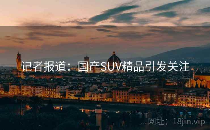 记者报道：国产SUV精品引发关注