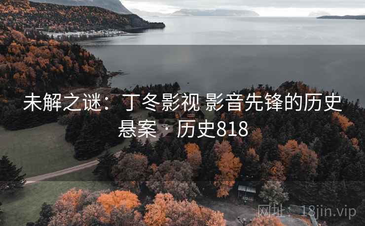 未解之谜:丁冬影视 影音先锋的历史悬案 · 历史818 未解之谜:丁冬影视 影音先锋的历史悬案 · 历史818